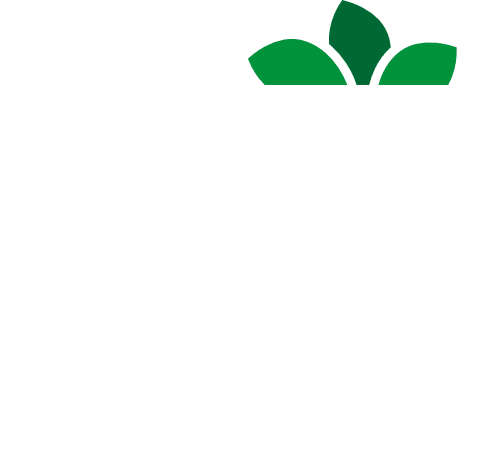 Beli's Bowls